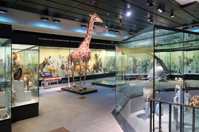 naturhistorisches museum der universitat zurich 8-2024 0976